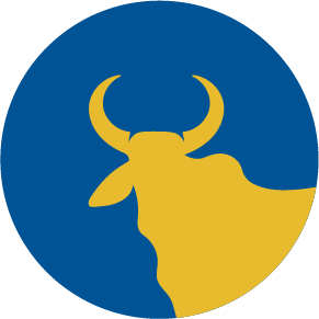 Single Indigenous Cow Breed